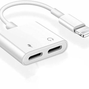 【2021新版】iPhone イヤホン 変換, 充電 イヤホン 同時 通話可能 音楽調節