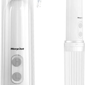 携帯ウオシュレット お尻洗浄器 電動 防水 手持ち
