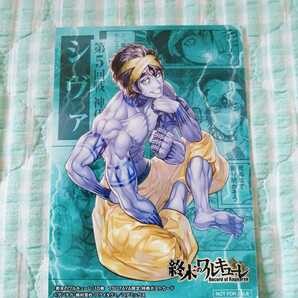 非売品 終末のワルキューレ 10巻〜「シヴァ」〜TSUTAYA特典 イラストカード♪の画像1