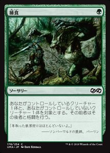 MTG ■緑/日本語版■ 《捕食/Prey Upon》★FOIL★ アルティメットマスターズ UMA