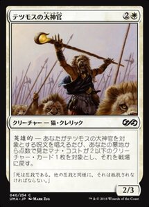 MTG ■白/日本語版■ 《テツモスの大神官/Tethmos High Priest》★FOIL★ アルティメットマスターズ UMA