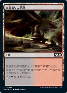 MTG ■土地/日本語版■ 《血溜まりの洞窟/Bloodfell Caves》★FOIL★基本セット2021 M21