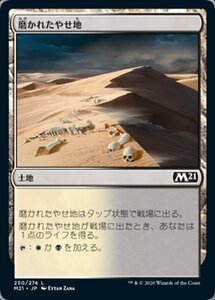 MTG ■土地/日本語版■ 《磨かれたやせ地/Scoured Barrens》★FOIL★基本セット2021 M21