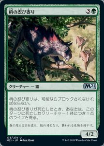 MTG ■緑/日本語版■ 《梢の忍び寄り/Canopy Stalker》★FOIL★基本セット2021 M21