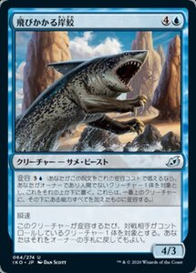 MTG ■青/日本語版■ 《飛びかかる岸鮫/Pouncing Shoreshark》★FOIL★イコリア:巨獣の棲処 IKO