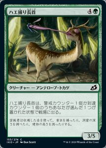 MTG ■緑/日本語版■ 《ハエ捕り長首/Flycatcher Giraffid》イコリア:巨獣の棲処 IKO