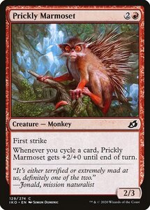 MTG ■赤/英語版■ 《トゲマーモセット/Prickly Marmoset》イコリア:巨獣の棲処 IKO