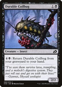 MTG ■黒/英語版■ 《頑丈なダンゴムシ/Durable Coilbug》イコリア:巨獣の棲処 IKO