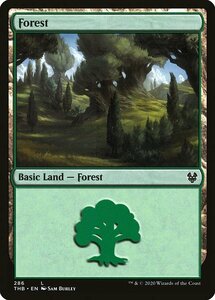 MTG ■土地/英語版■ 《森/Forest》★FOIL★ テーロス還魂記 THB