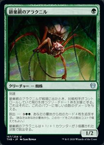 MTG ■緑/日本語版■ 《鎖巣網のアラクニル/Chainweb Aracnir》★FOIL★ テーロス還魂記 THB