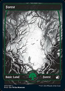 MTG ■土地/英語版■ 《森/Forest》★FOIL★イニストラード真夜中の狩り MID