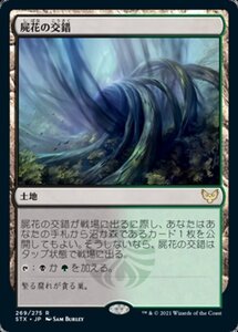 MTG ■土地/日本語版■ 《屍花の交錯/Necroblossom Snarl》ストリクスヘイブン STX