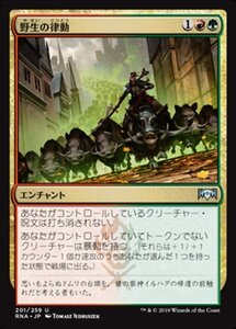 MTG ■金/日本語版■ 《野生の律動/Rhythm of the Wild》ラヴニカの献身 RNA