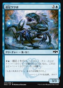 MTG ■青/日本語版■ 《速足ウツボ/Skitter Eel》★FOIL★ ラヴニカの献身 RNA