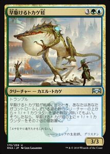 MTG ■金/日本語版■ 《早駆けるトカゲ蛙/Galloping Lizrog》ラヴニカの献身 RNA