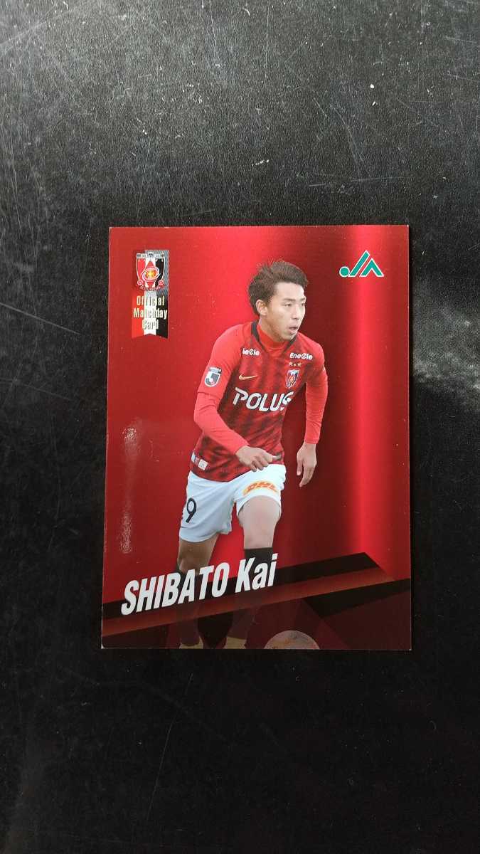 2025年最新】Yahoo!オークション -#柴戸海の中古品・新品・未