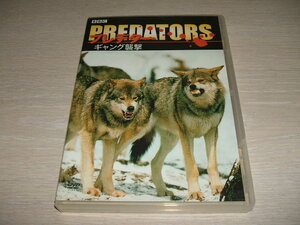 Использовал DVD BBC Gang Raid Predator/