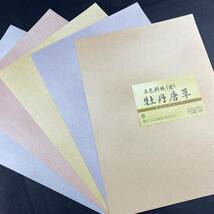 新料紙 牡丹唐草 25枚 半紙 仮名加工紙 細字　書道用紙 作品用紙 文房四宝 書道 中字 仮名文字 まとめ売り 書道半紙 美術 ペン字 毛筆 新品_画像3