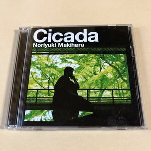 槇原敬之 CD+SCD 2枚組「Cicada」