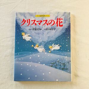 クリスマスの花