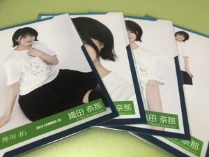 欅坂46 織田奈那 欅共和国2018 Tシャツ衣装 生写真 4種コンプ 富士急ハイランド 日向坂46 櫻坂46 流れ弾 ってか MV(まとめ セット売り 可