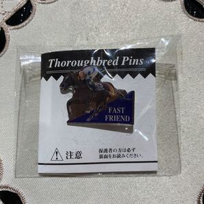 『有馬記念に夢をのせて』JRA名馬たちのサラピン ウマ娘 ファストフレンド