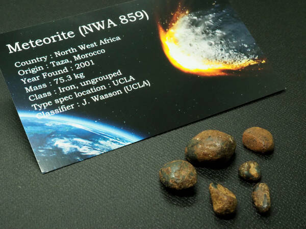 限定入荷！超レア！Taza（タザ）隕石【NWA 859 】【14.2g】モロッコ王国タザ州産/鉄隕石