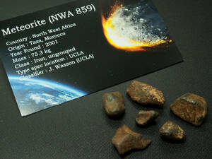 限定入荷！超レア！Taza（タザ）隕石【NWA 859 】【24.7g】モロッコ王国タザ州産/鉄隕石/meteorite