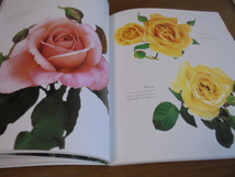 洋書小さな庭のバラ　Roses for the Smaller Garden　 薔薇のイラスト（ルドォーテ）　写真　ローズガーデン写真集　大型本_画像8