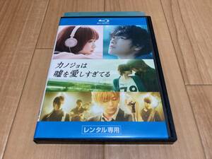 Blu-ray カノジョは嘘を愛しすぎてる　佐藤健 大原櫻子