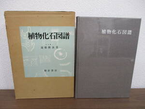 b2-2「植物化石図譜」理学博士 遠藤隆次・著 朝倉書店 昭和46年