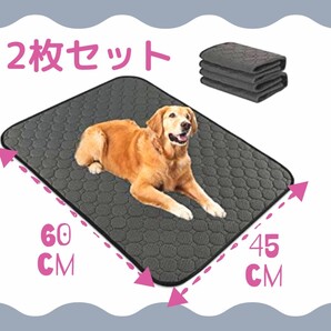 ペット用 おしっこマット 60×45cm 犬 猫 うさぎ おしっこシート パッド ペットシーツ 防水 速乾 介護 洗える 再利用可