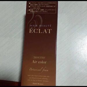 ヘアボーテ エクラ ボタニカルエアカラーフォーム ダークブラウン 80g