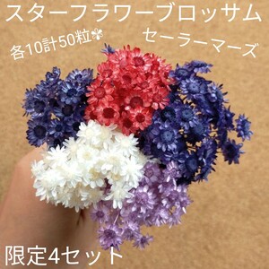 ハーバリウムボールペン レジン アクセサリー 花材セット 気まぐれ素材 マーズ