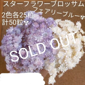ハーバリウムボールペン レジン アクセサリー 花材セット 気まぐれ素材 フェアリ