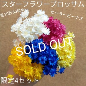 ハーバリウムボールペン レジン アクセサリー 花材セット 気まぐれ素材 ビーナス