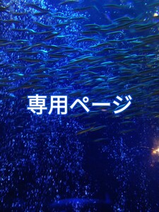 ハーバリウムボールペン レジン アクセサリー 花材セット 気まぐれ素材 ブラック