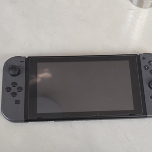 Nintendo Switch ニンテンドースイッチ本体 ニンテンドースイッチ PCH-2000