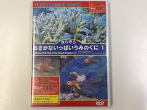 中古DVD／レア盤 『きらきら・おさかないっぱいのくに1』 No.275_画像1