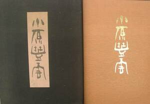 （大型本）小原豊雲 講談社インターナショナル いけばな