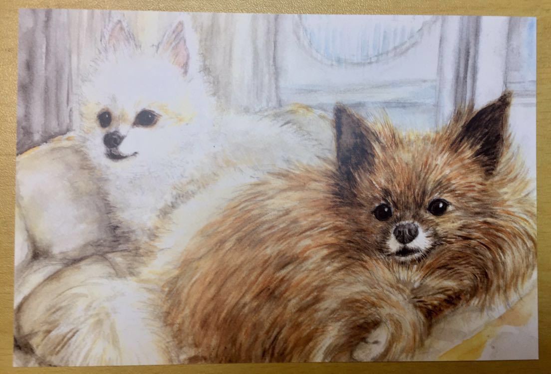 Original Hand-Drawn artwork illustration postcard dog Pomeranian Shiba cut watercolor painting reproduction [Shizuka Aoki] hand-drawn illustration, comics, anime goods, hand drawn illustration