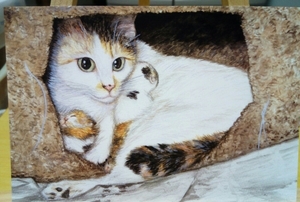 オリジナル　手描き　イラスト　ポストカード　ねこのこども2③　猫　子猫　水彩画　複製 【あおきしずか】