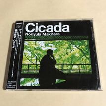 槇原敬之 1CD「Cicada」_画像1