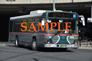 D-４【バス写真】Ｌ版２枚　大阪シティバス　エルガ　復刻塗装バス　大阪市交通局