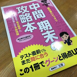 中学　3年　国語　中間、期末の攻略本　光村図書　要点確認　予想問題　中学国語　高校入試　高校受験　対策　解答、解説