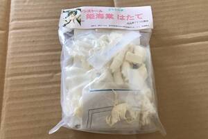 送料無料　未組立品　ガレージキット　ぷるるん亭　姫海棠はたて　ワンフェス　トレフェス　東方