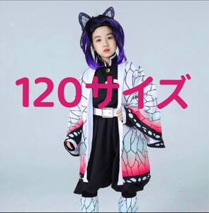 胡蝶しのぶ 鬼滅の刃 クリスマスプレゼントコスプレ衣装