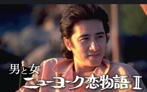 男と女 ニューヨーク恋物語 DVD全巻DVD