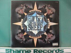 Black Sheep ： North South East West // 5点で送料無料 12''
