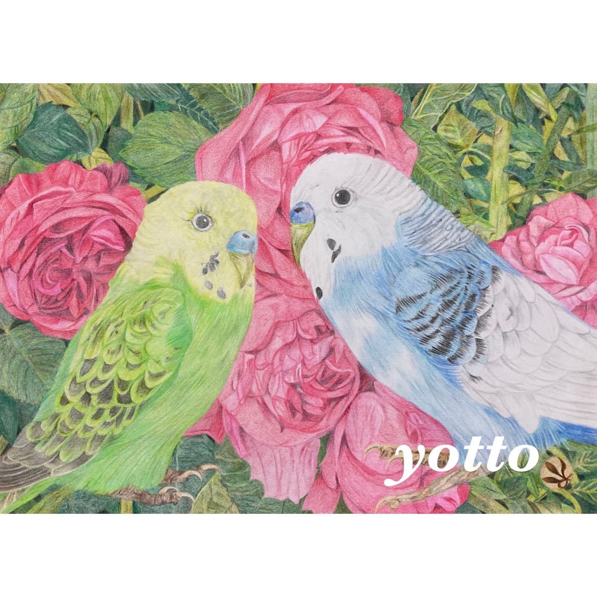 Colored pencil drawing Just like this A4, framed ◇◆Hand-drawn◇Original◆Parakeet◇◆yotto◇, Artwork, Painting, Pencil drawing, Charcoal drawing